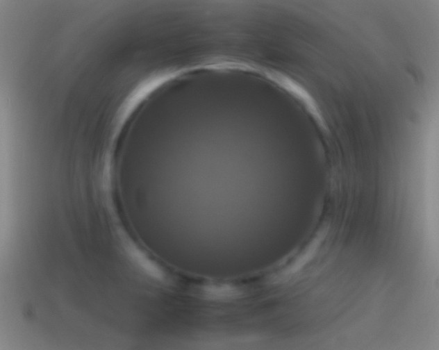 X0000114391231200910161246