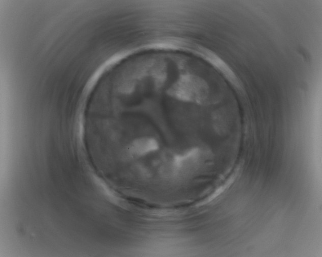 X0000114391232200910161246