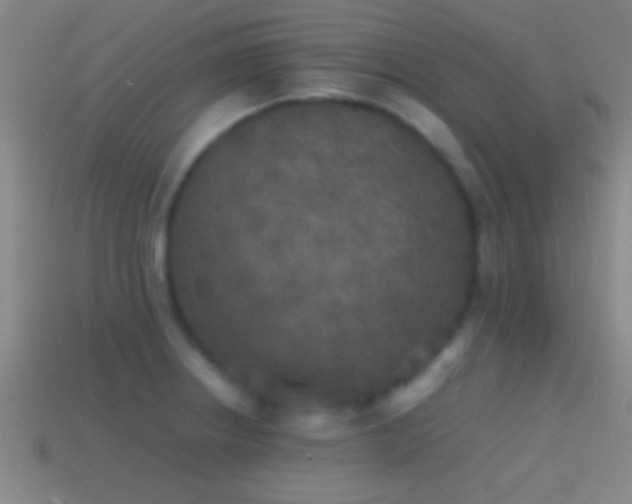 X0000114391234200910161247