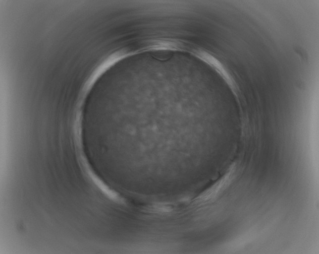 X0000114391235200910161247