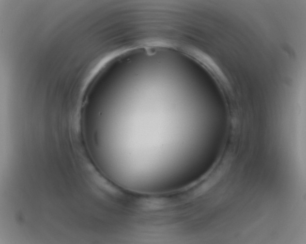 X0000114391236200910161247
