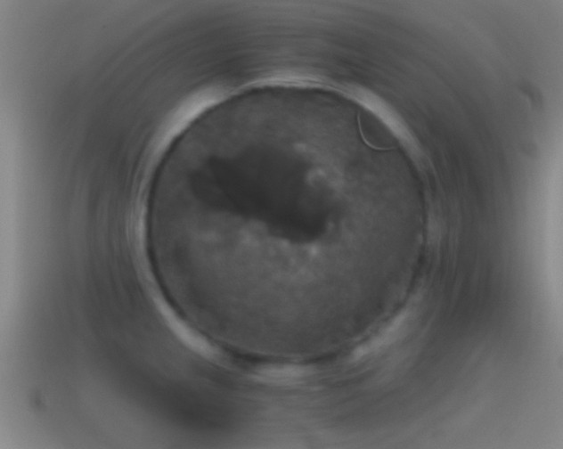X0000114391237200910161247