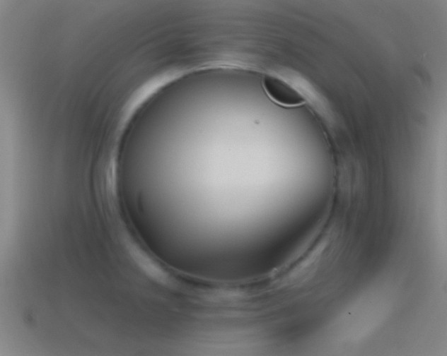 X0000114391238200910161247