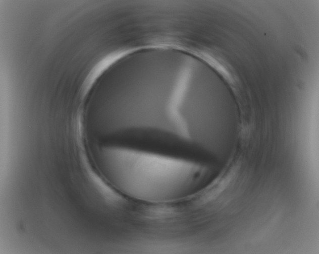 X0000114391239200910161247