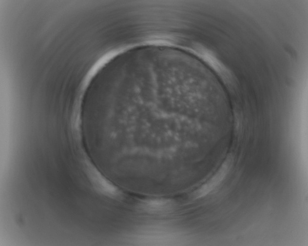 X0000114391240200910161247