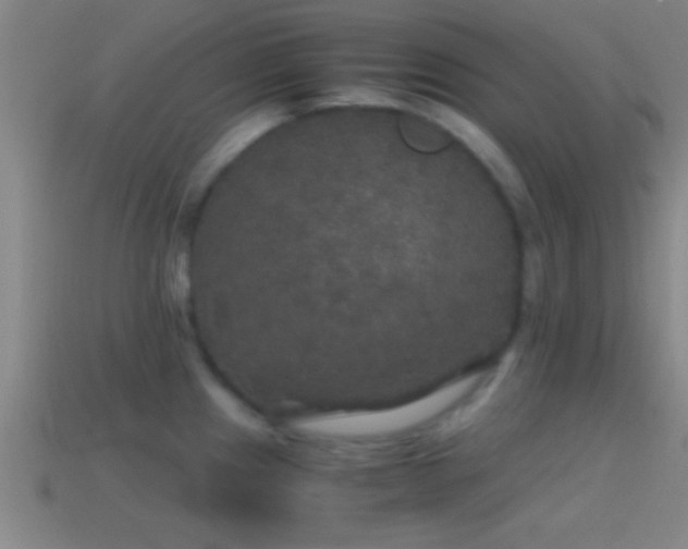 X0000114391241200910161247