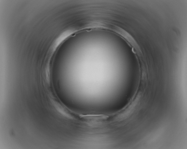 X0000114391242200910161247
