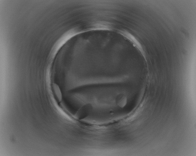 X0000114391243200910161247