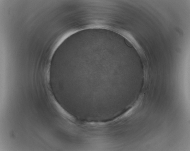 X0000114391244200910161247