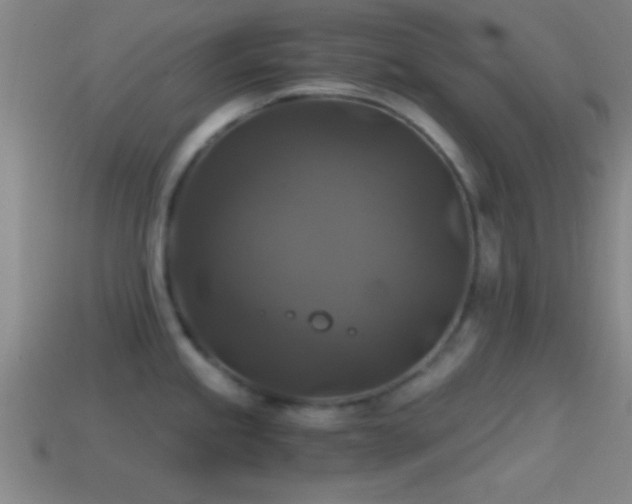 X0000114391245200910161247