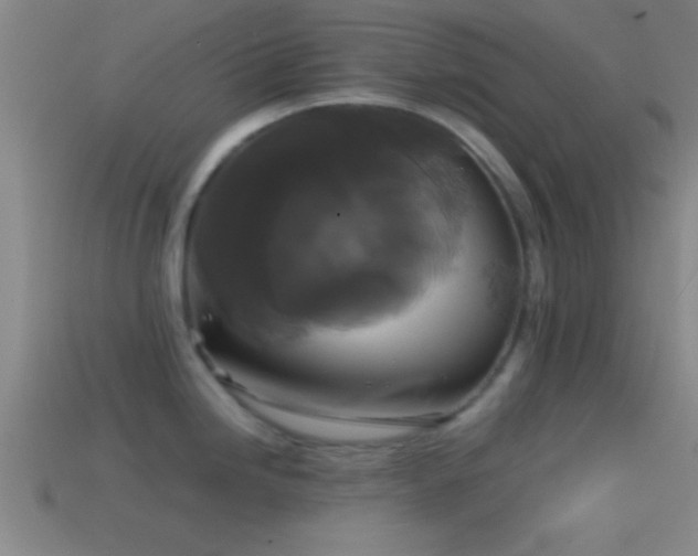 X0000114391246200910161247