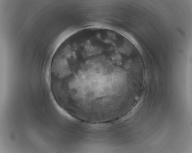 X0000114391247200910161247