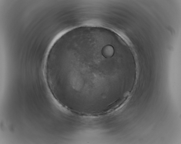 X0000114391248200910161247