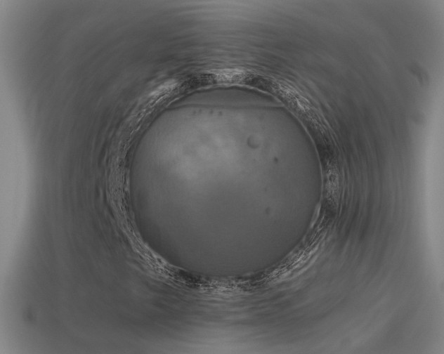 X0000114391249200910161246