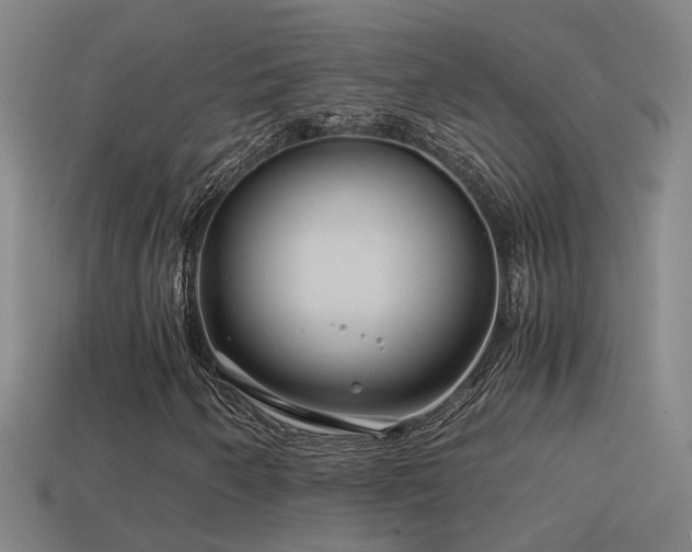 X0000114391250200910161246