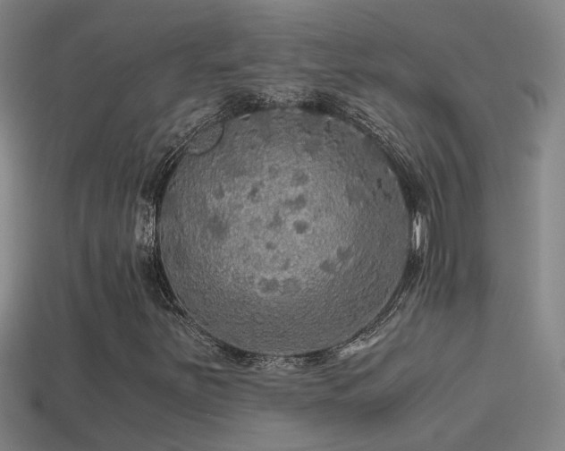 X0000114391251200910161246