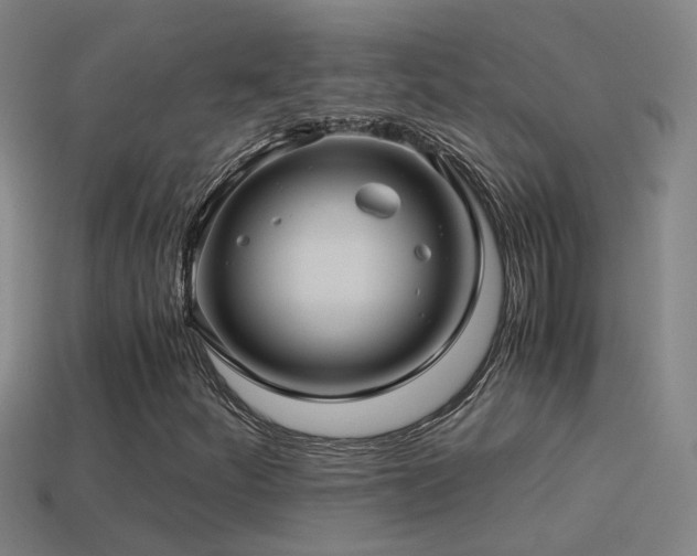 X0000114391252200910161246