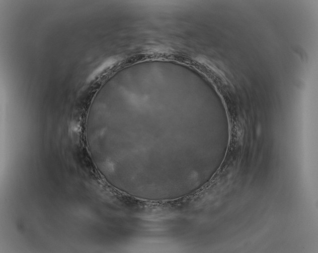 X0000114391254200910161246