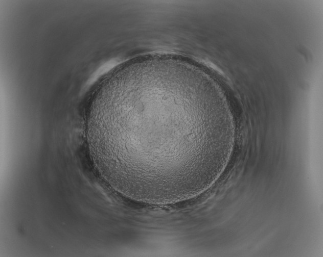 X0000114391255200910161246