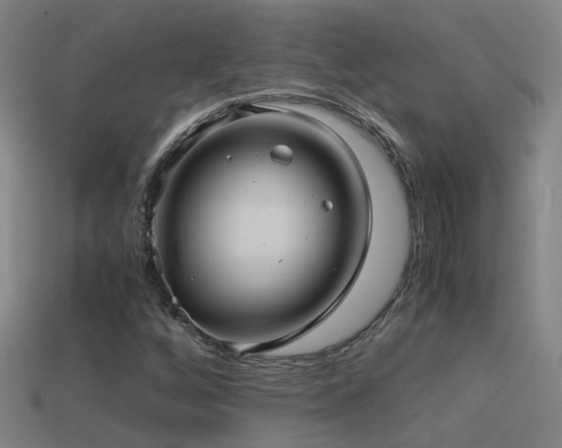 X0000114391256200910161246