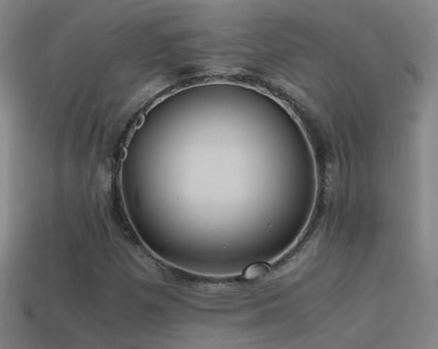 X0000114391257200910161246