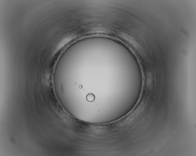 X0000114391258200910161246