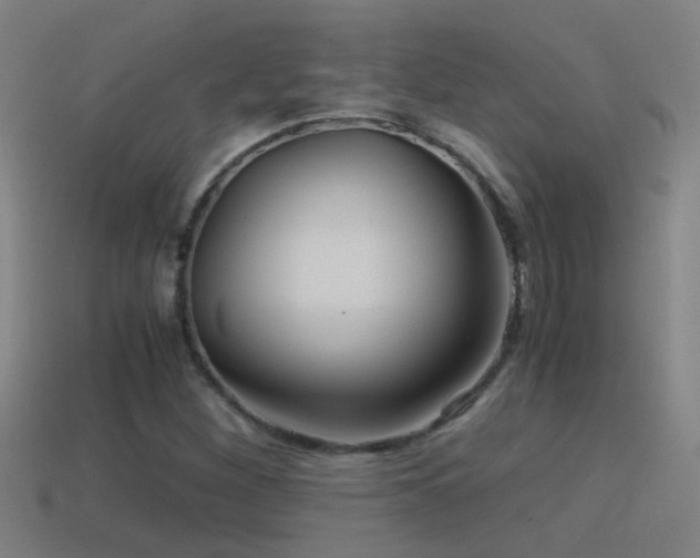 X0000114391260200910161246
