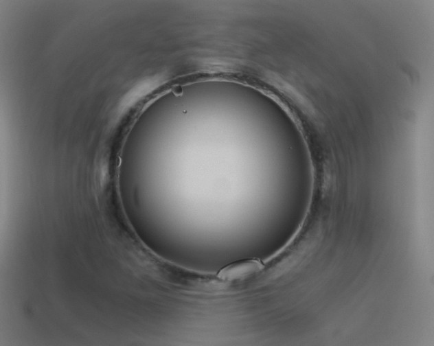 X0000114391261200910161246