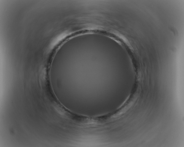 X0000114391263200910161246