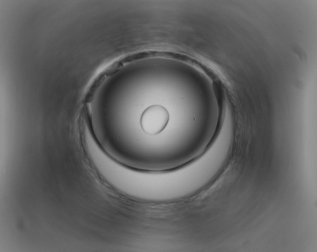 X0000114391264200910161246