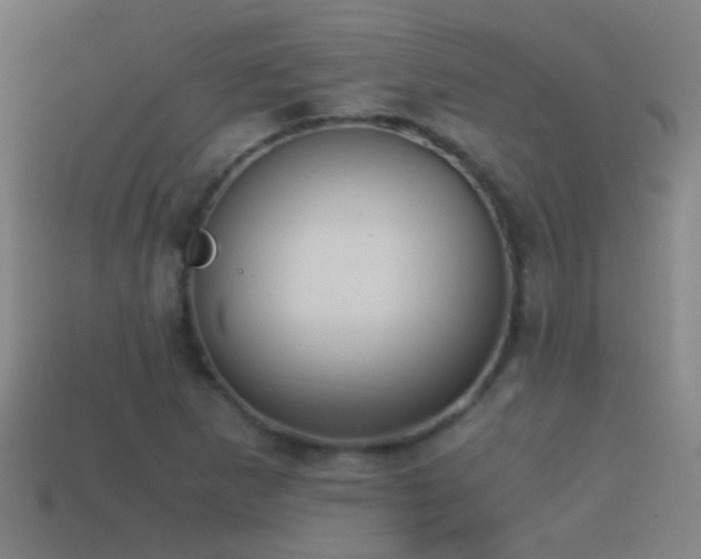 X0000114391265200910161246