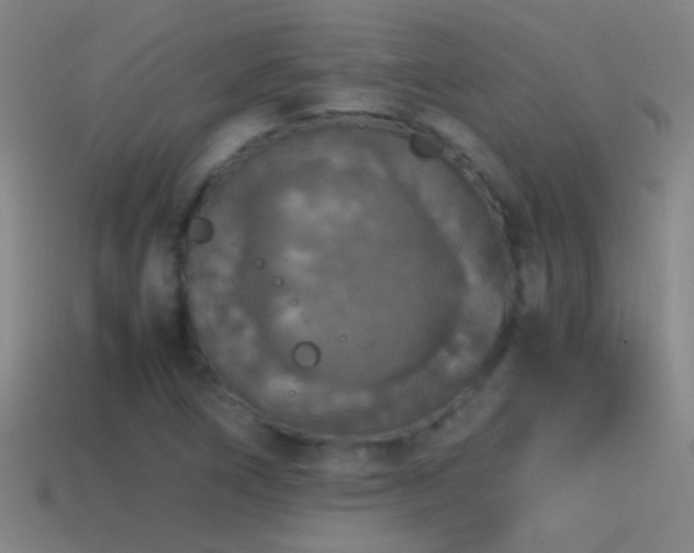 X0000114391266200910161246