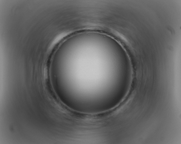 X0000114391267200910161246