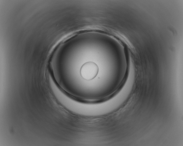 X0000114391268200910161246