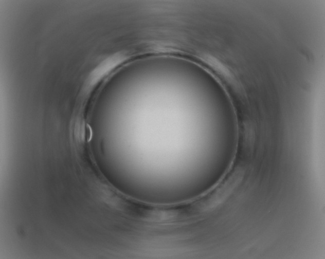 X0000114391269200910161246
