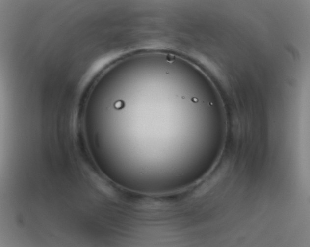 X0000114391270200910161246