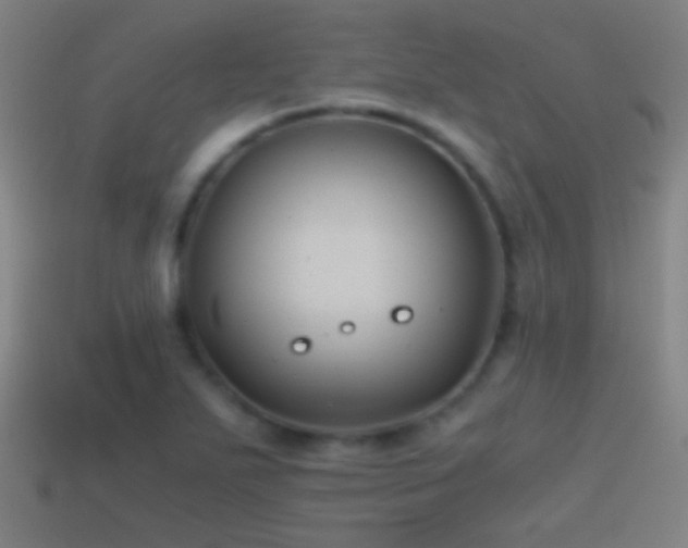 X0000114391271200910161246