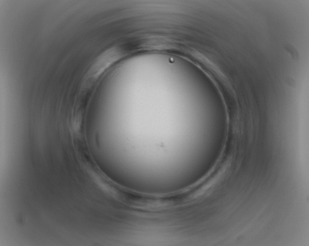 X0000114391273200910161246