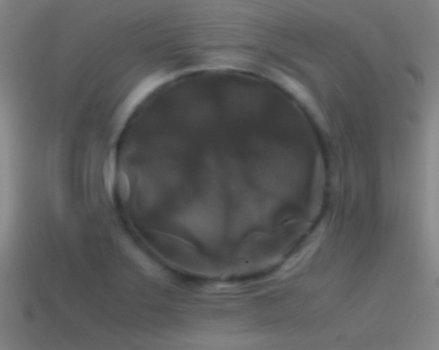X0000114391275200910161246