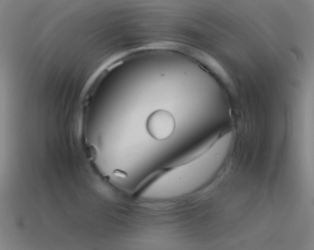 X0000114391276200910161246
