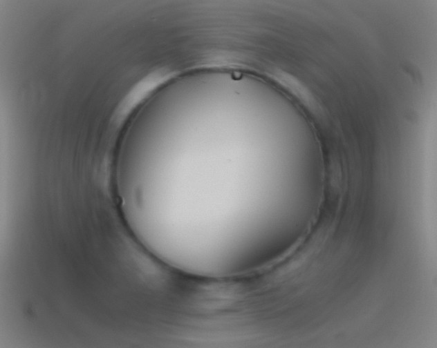 X0000114391277200910161246