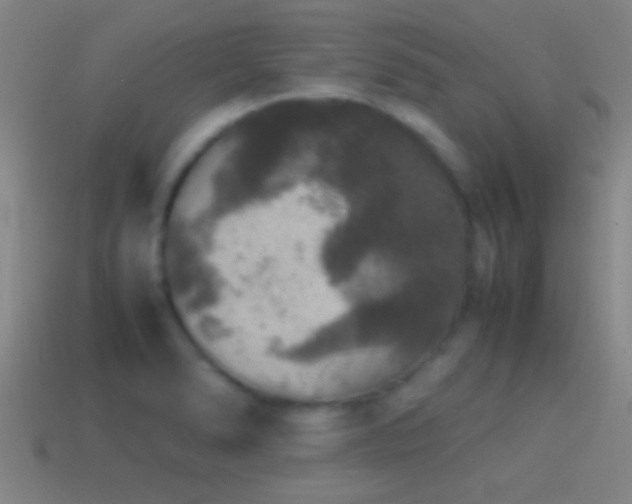 X0000114391278200910161246