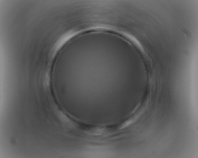 X0000114391279200910161246