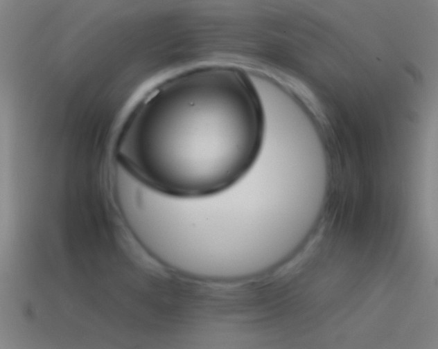 X0000114391280200910161246