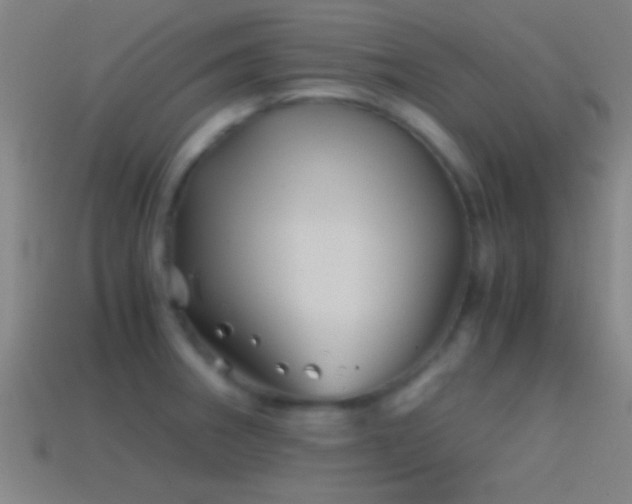 X0000114391282200910161246