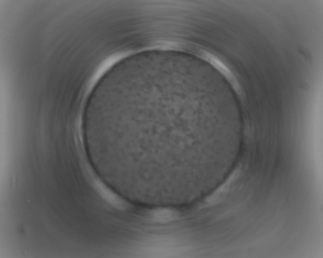 X0000114391283200910161246