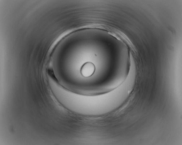 X0000114391284200910161246
