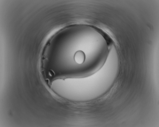 X0000114391285200910161246
