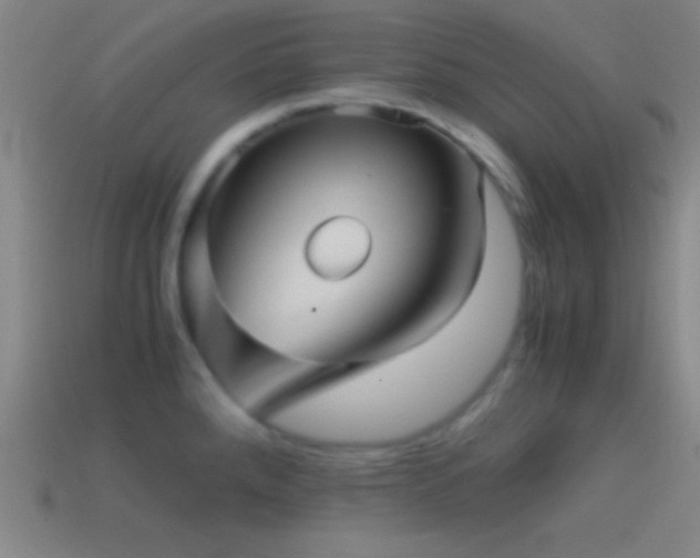 X0000114391288200910161246