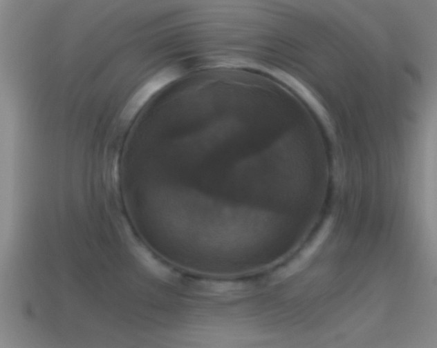 X0000114391289200910161246